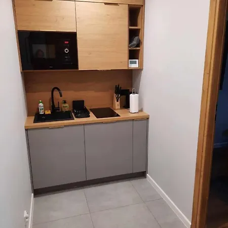 Zorza